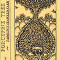 Porcupine Tree - Tarquin&#039;s Seaweed Farm album