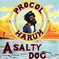 Procol Harum - A Salty Dog album
