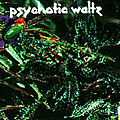 Psychotic Waltz - Mosquito album