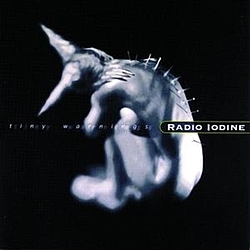 Radio Iodine - Tiny Warnings album