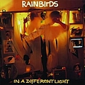 Rainbirds - In A Different Light album