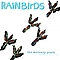 Rainbirds - The Mercury Years - The Best Of 87-94 альбом