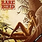 Rare Bird - Sympathy album