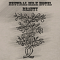 Neutral Milk Hotel - Beauty album
