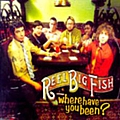 Reel Big Fish - Where Have You Been? album