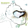 The New Amsterdams - Story Like A Scar альбом