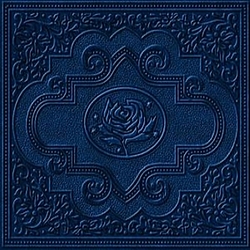 Ryan Adams - Cold Roses album