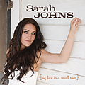 Sarah Johns - Big Love In A Small Town album