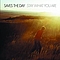 Saves The Day - Stay What You Are album