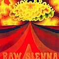 Savoy Brown - Raw Sienna album