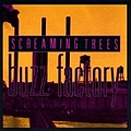 Screaming Trees - Buzz Factory альбом
