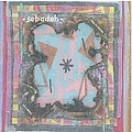 Sebadoh - Bubble and Scrape album