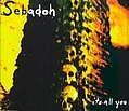 Sebadoh - It&#039;s All You album