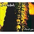 Sebadoh - It&#039;s All You album