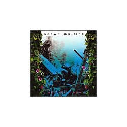 Shawn Mullins - Better Days album