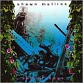Shawn Mullins - Better Days альбом