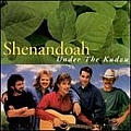 Shenandoah - Under the Kudzu album