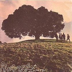 Sherwood - Sing, but Keep Going album