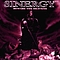 Sinergy - Beware the Heavens album