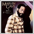 Marvin Gaye - A Musical Testament 1964-1984 album