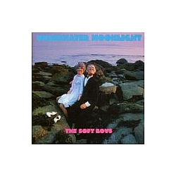 Soft Boys - Underwater MoonlightAnd How альбом
