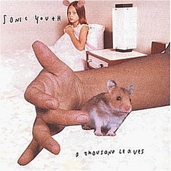 Sonic Youth - A Thousand Leaves альбом