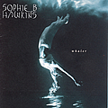 Sophie B. Hawkins - Whaler album