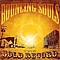 Bouncing Souls - The Gold Record album