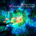 Richard Hawley - Standing At The Sky&#039;s Edge album