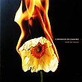 Caramelos De Cianuro - Flor de Fuego album
