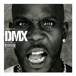 Ruff Ryder - Best of DMX album