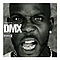 Ruff Ryder - Best of DMX album