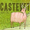 Castevet - Summer Fences album