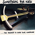 Something For Kate - The Answer To Both Your Questions album