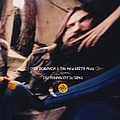 Chris Robinson - This Magnificent Distance album