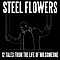 Steel Flowers - 12 Tales From The Life Of Mr. Someone альбом