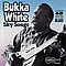Bukka White - Sky Songs album