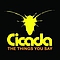 Cicada - The Things You Say альбом