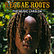Cimarons - Reggae Roots : The Music Lives On альбом