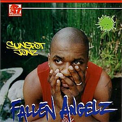 Sunspot Jonz - Fallen Angelz альбом