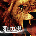 Terror - Rhythm Amongst The Chaos album