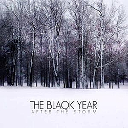 The Blaqk Year - After The Storm album