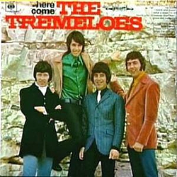 The Tremeloes - Here Come The Tremeloes album