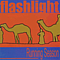 Flashlight Brown - Running Season album