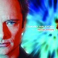 David Hallyday - Révélation album