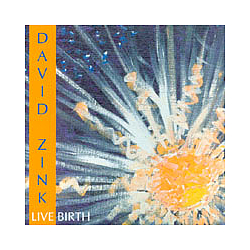 David Zink - Live Birth album