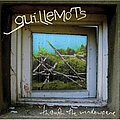 Guillemots - Through The Window Pane album