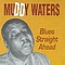 Muddy Waters - Blues Straight Ahead album