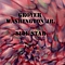 Grover Washington Jr. - Side Star альбом