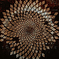 Scale the Summit - The Collective album